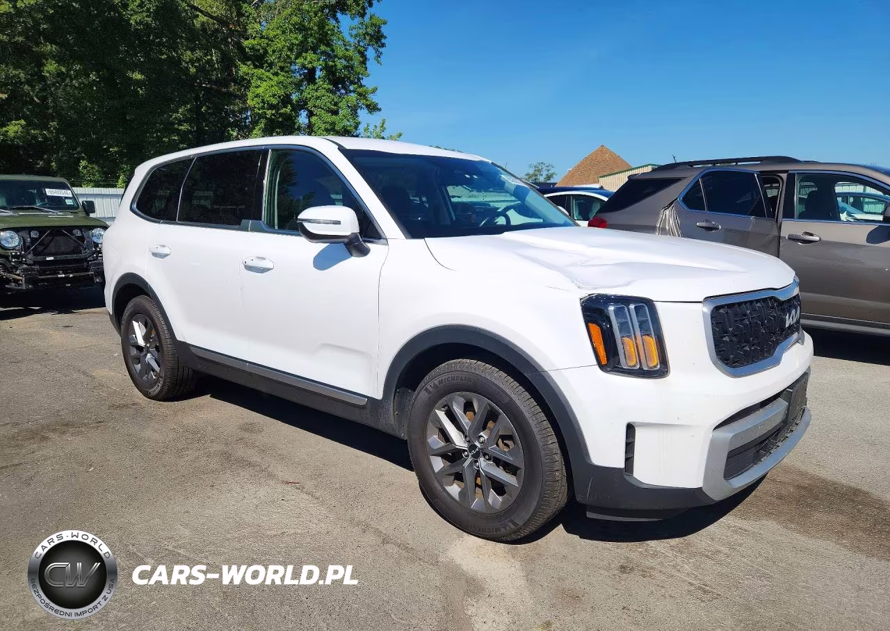 2024 Kia Telluride Lx VIN:5XYP2DGC8RG419818 - 4