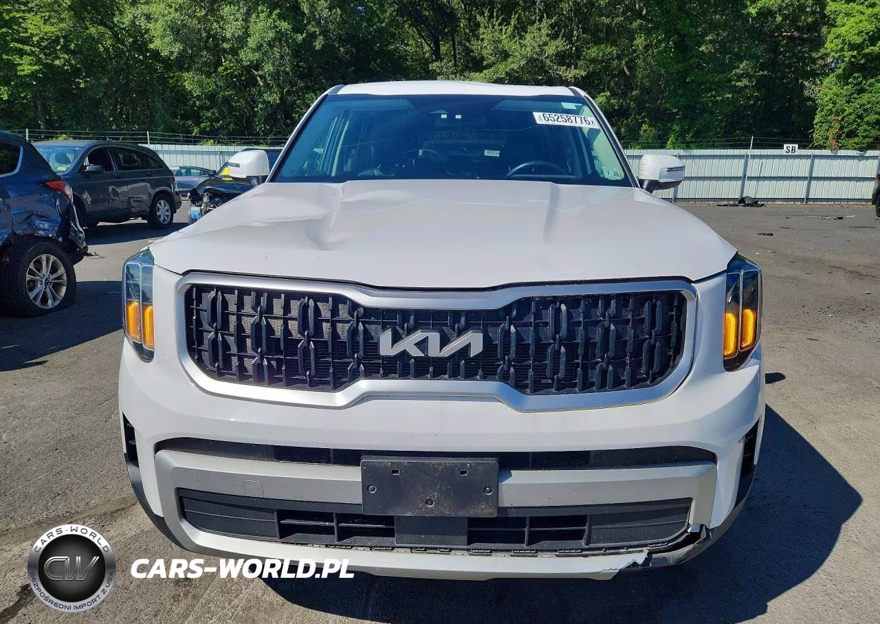2024 Kia Telluride Lx VIN:5XYP2DGC8RG419818 - 5
