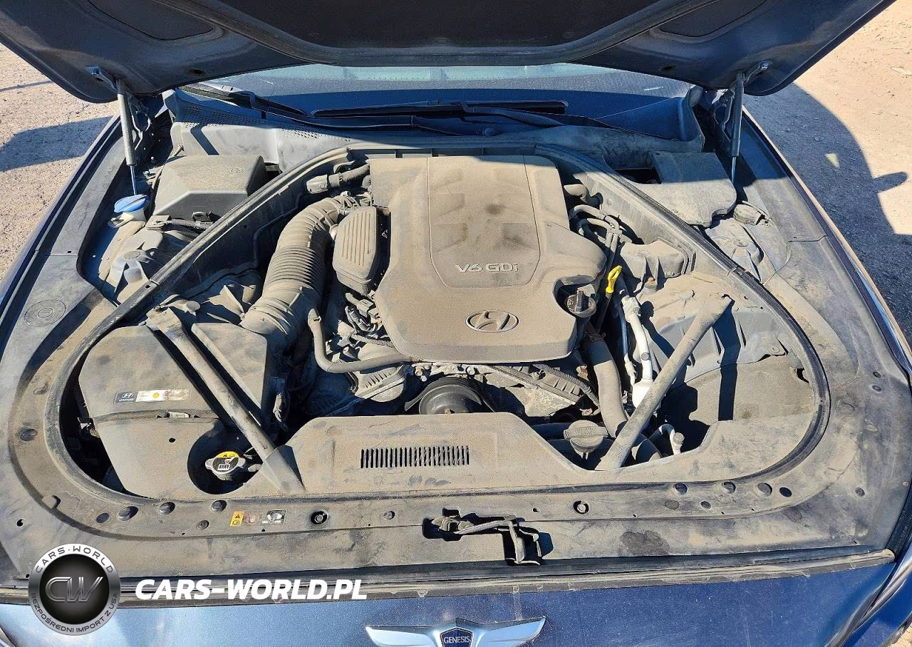 2016 Hyundai Genesis 3.8L VIN:KMHGN4JE4GU108461 - 11