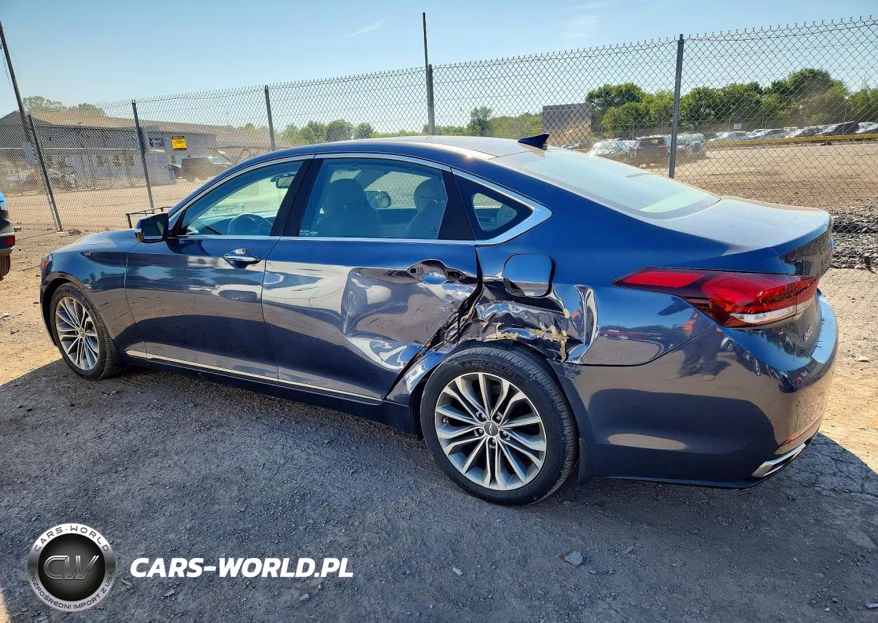 2016 Hyundai Genesis 3.8L VIN:KMHGN4JE4GU108461 - 2