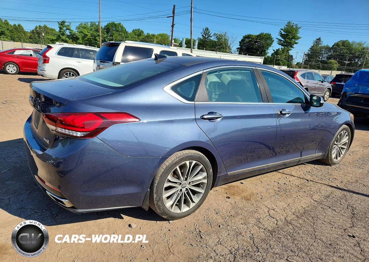 2016 Hyundai Genesis 3.8L VIN:KMHGN4JE4GU108461 - 3