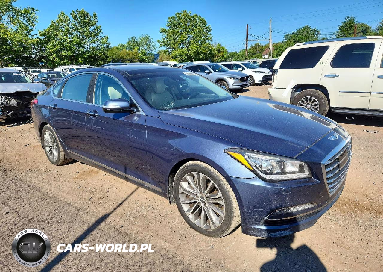 2016 Hyundai Genesis 3.8L VIN:KMHGN4JE4GU108461 - 4