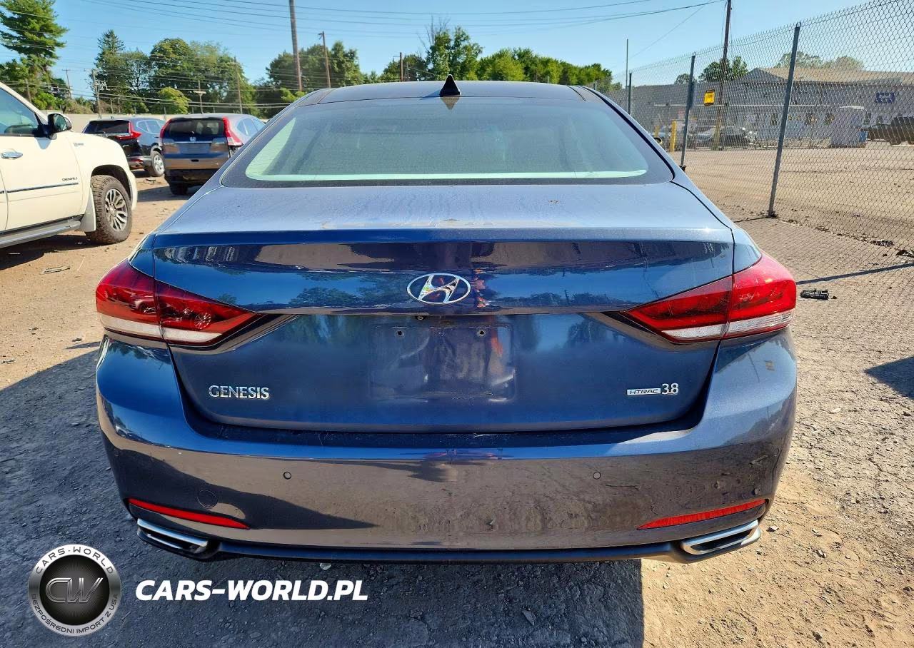 2016 Hyundai Genesis 3.8L VIN:KMHGN4JE4GU108461 - 6