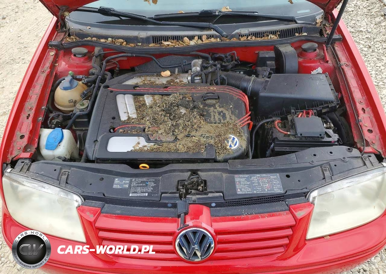 2002 Volkswagen Jetta Glx VIN:3VWTG69M02M034535 - 11