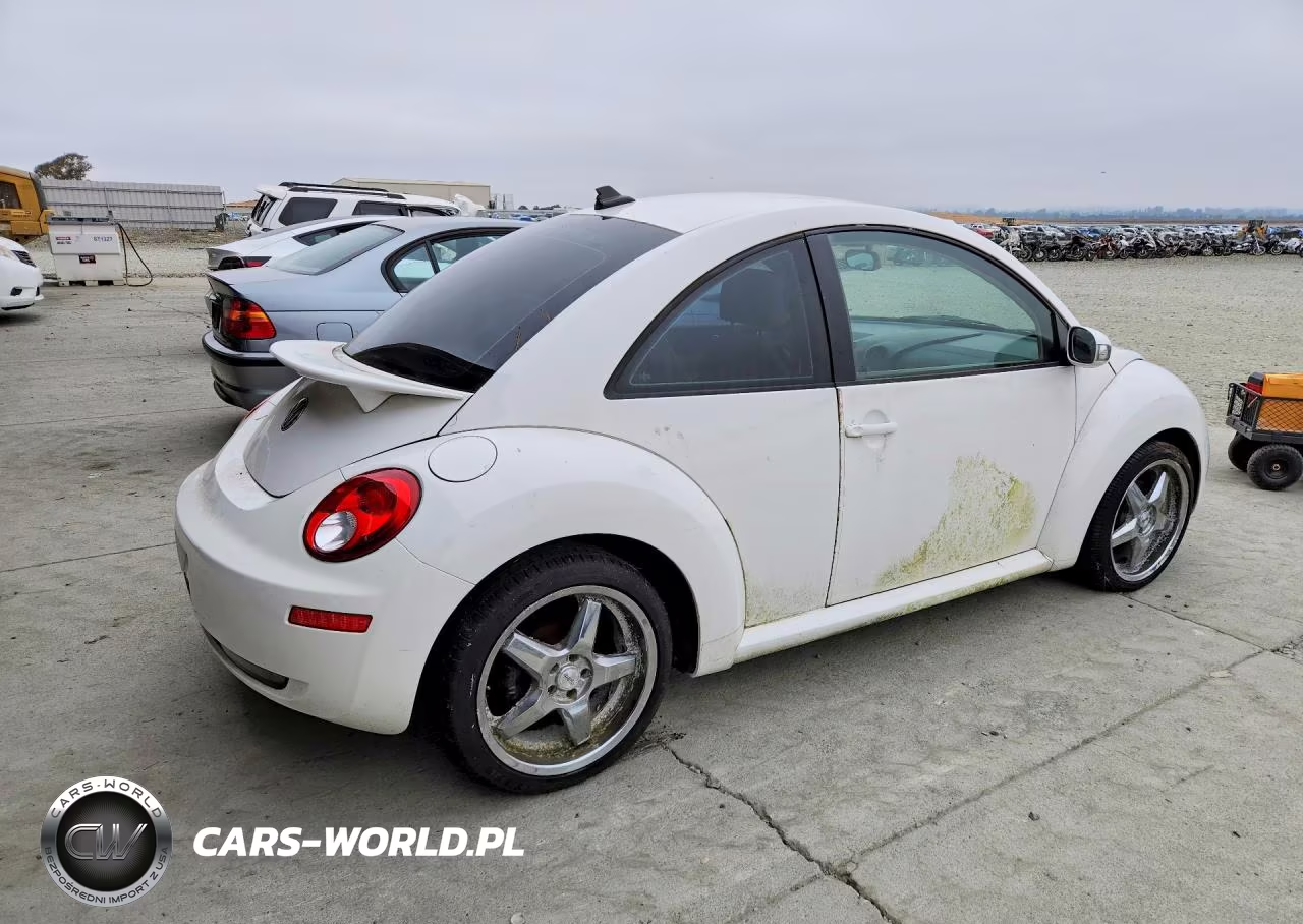 2009 Volkswagen New Beetle S VIN:3VWPW31C69M511582 - 3