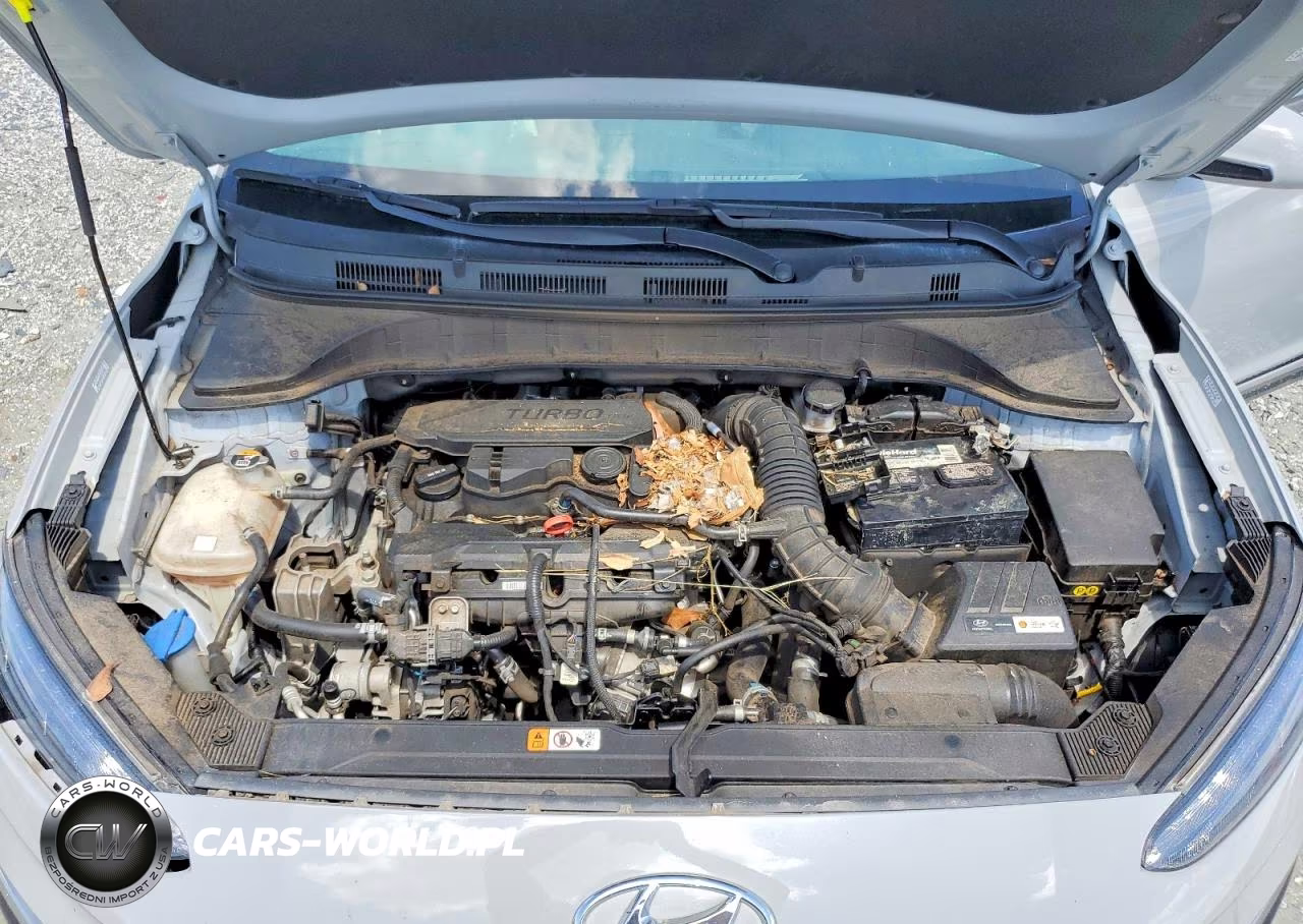 2023 Hyundai Kona Limited VIN:KM8K53A30PU979098 - 11