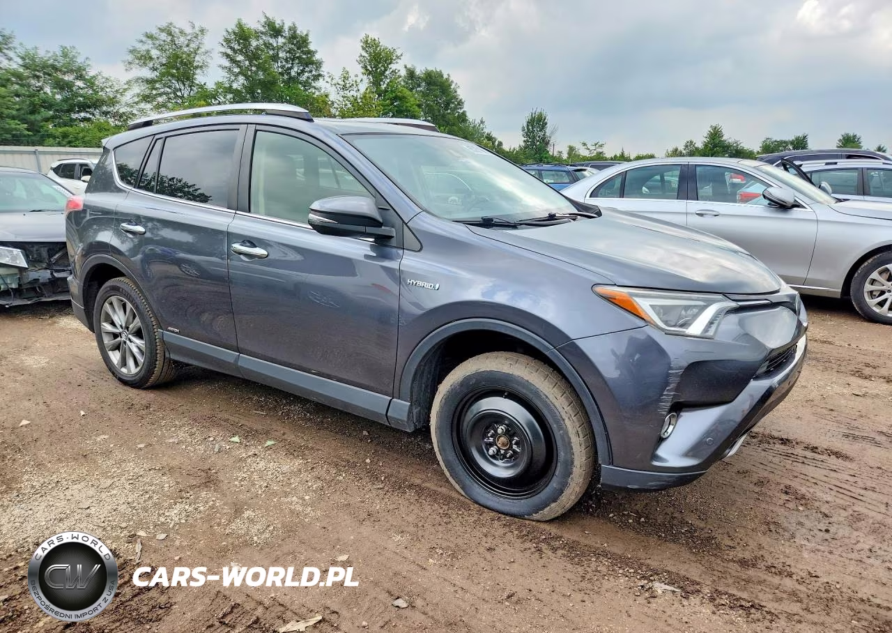 2016 Toyota Rav4 Hv Limited VIN:JTMDJREVXGD028009 - 4