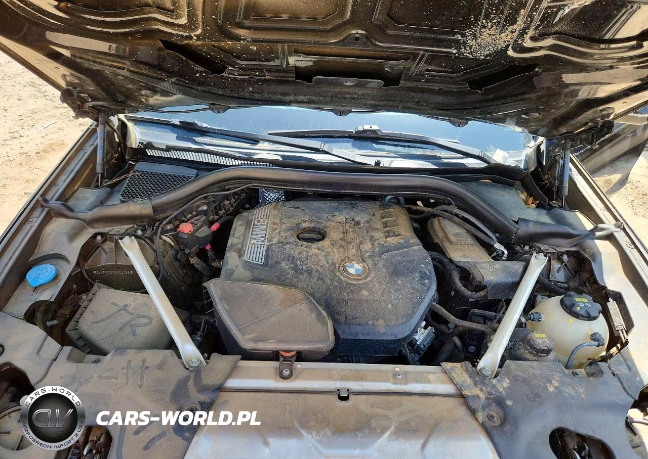 2019 BMW X3 Sdrive30I VIN:5UXTR7C57KLR44266 - 12