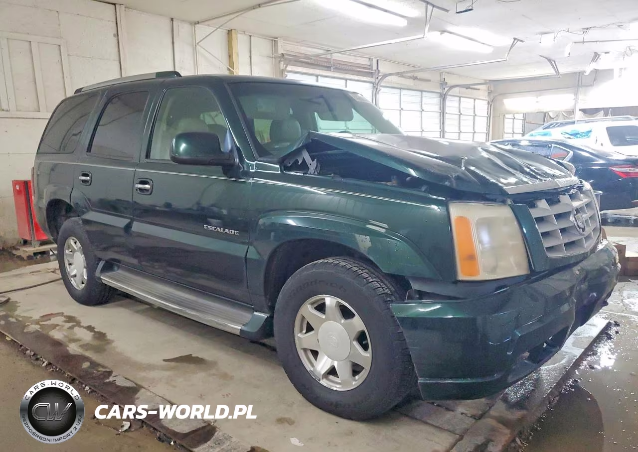 2002 Cadillac Escalade Luxury VIN:1GYEK63N32R111628 - 4
