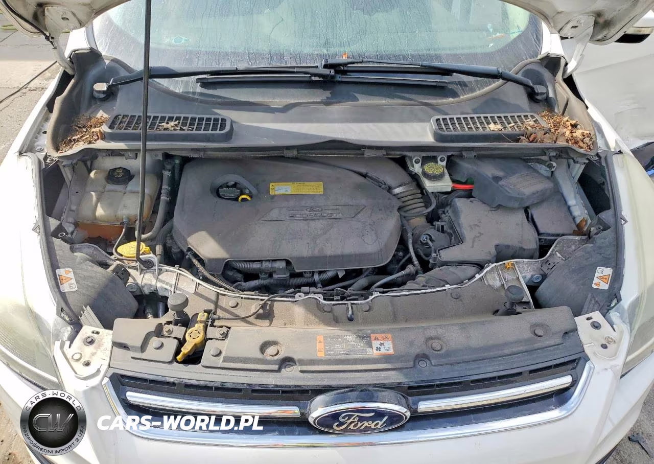 2014 Ford Escape Titanium VIN:1FMCU0JX2EUC41258 - 12