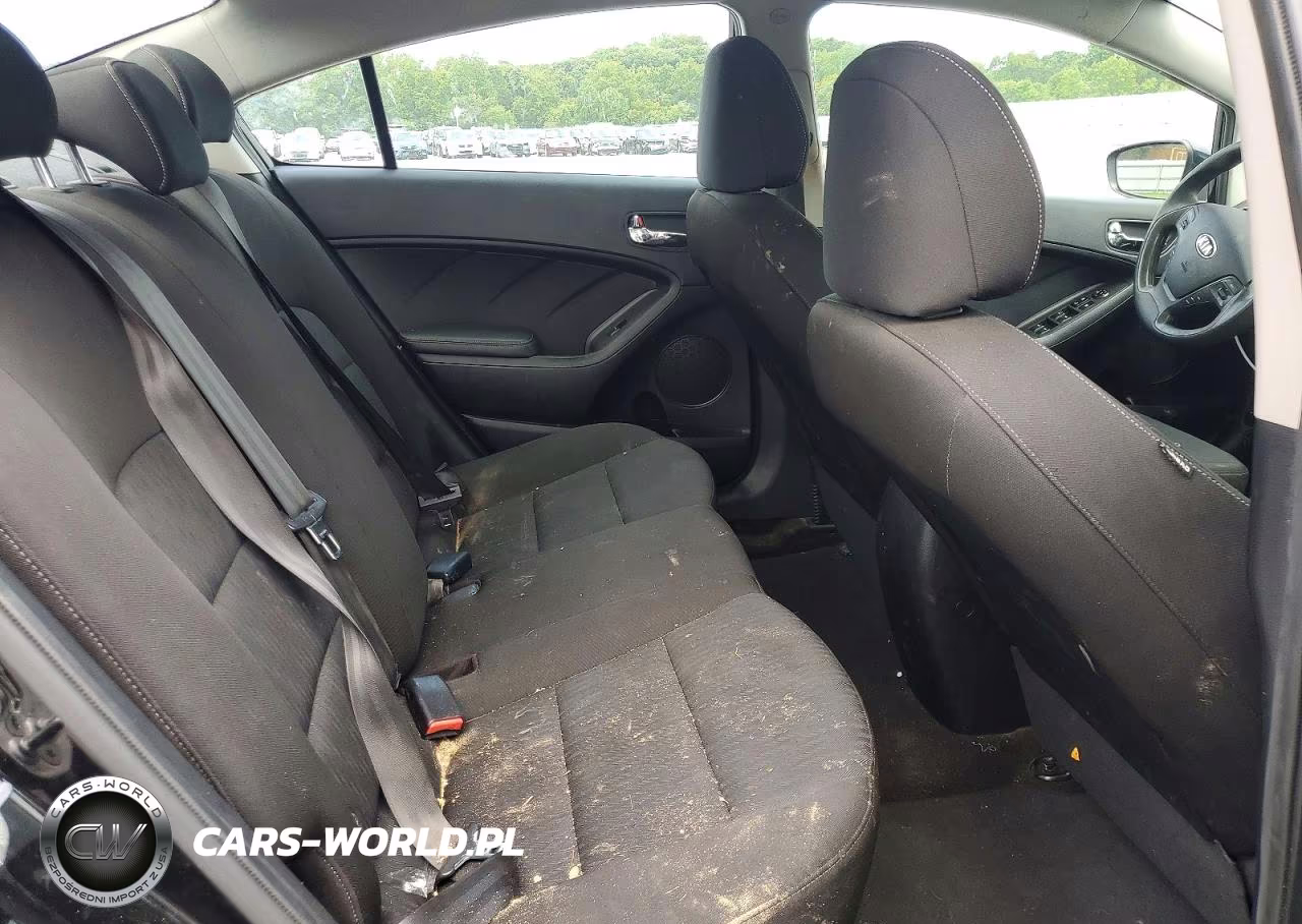 2014 Kia Forte Lx VIN:KNAFK4A68E5180401 - 10