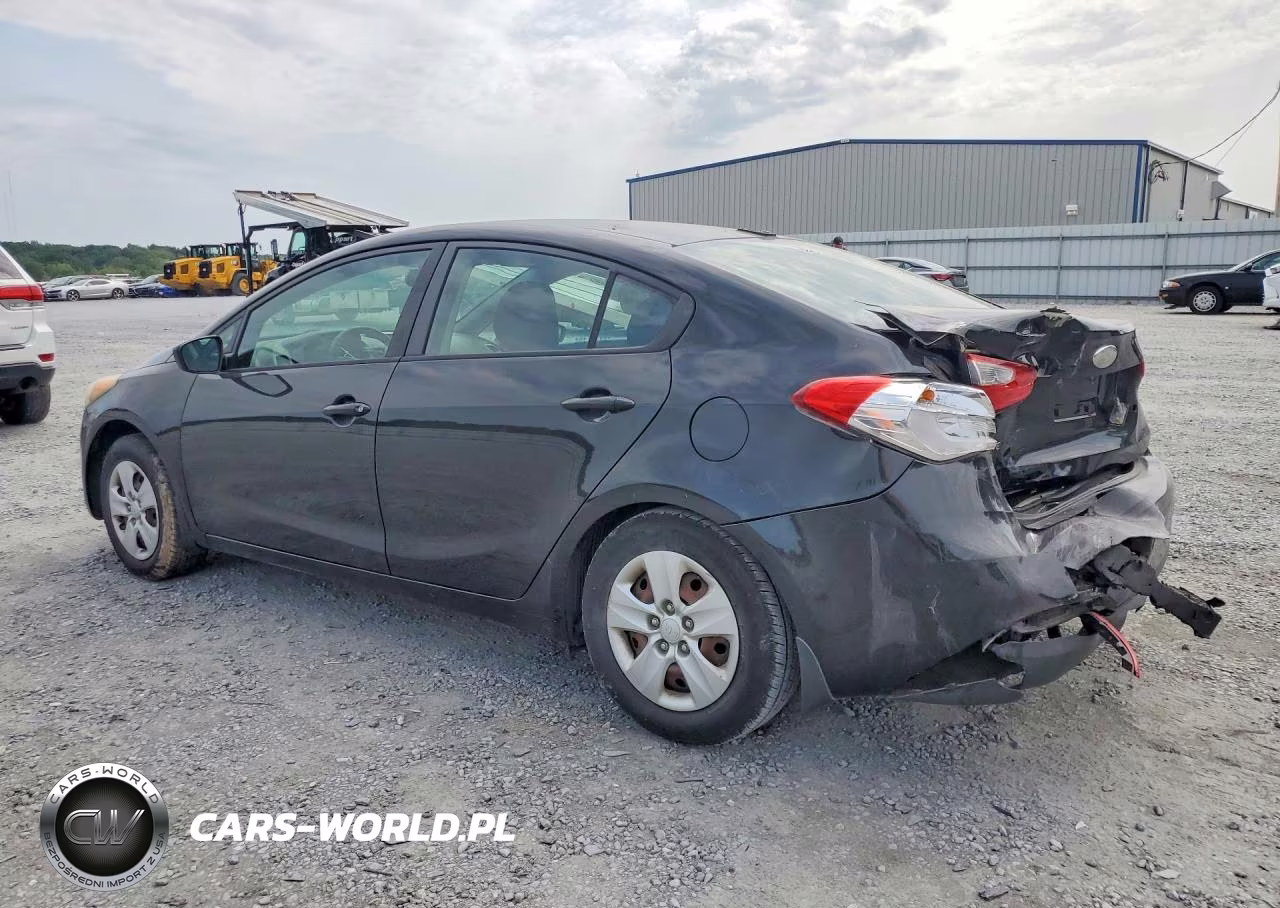 2014 Kia Forte Lx VIN:KNAFK4A68E5180401 - 2