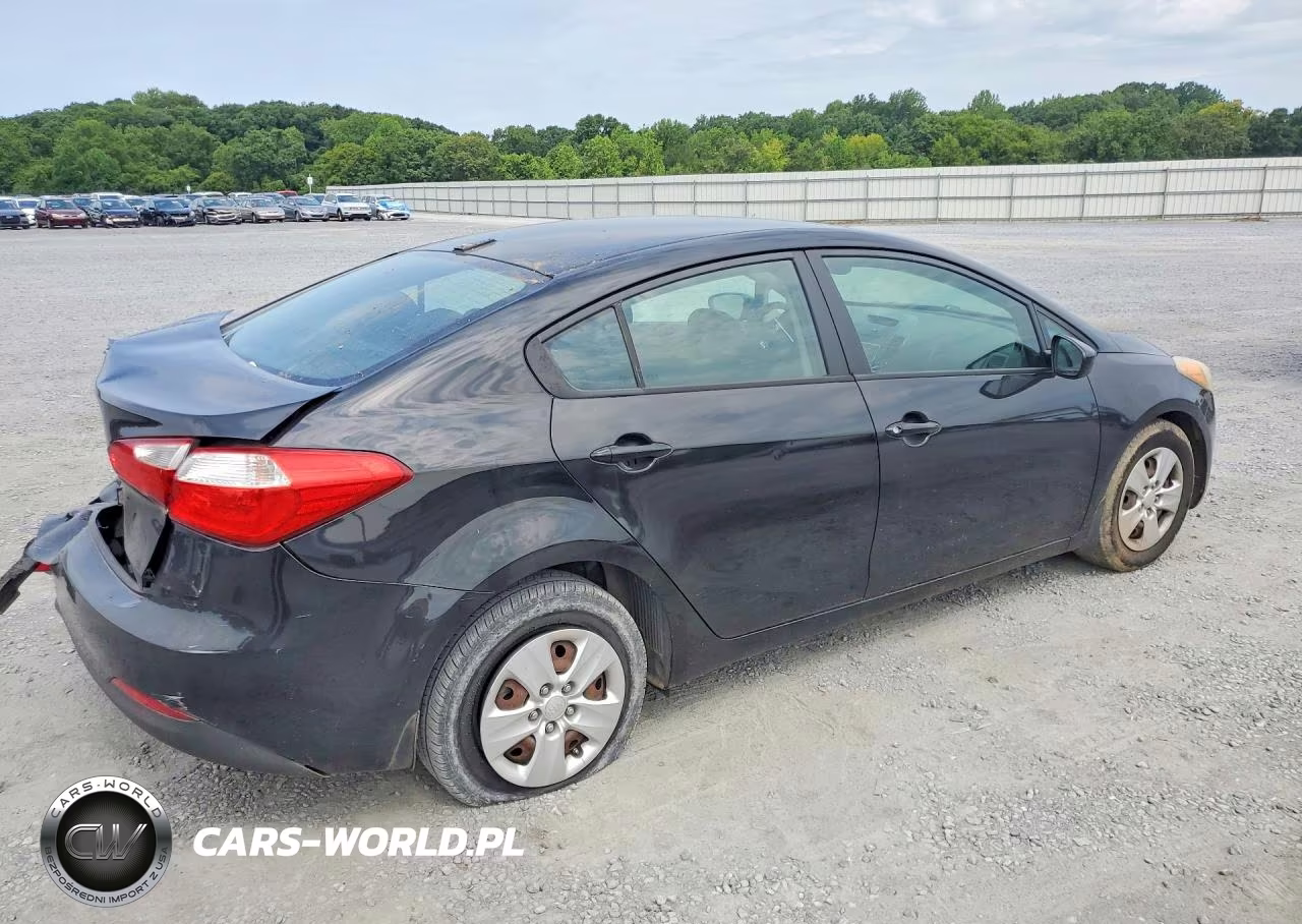 2014 Kia Forte Lx VIN:KNAFK4A68E5180401 - 3