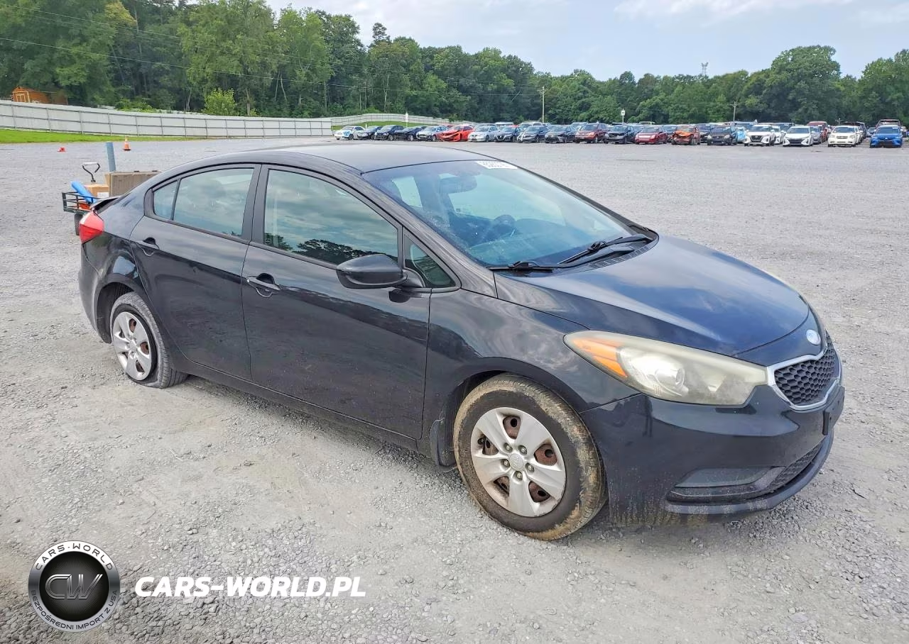2014 Kia Forte Lx VIN:KNAFK4A68E5180401 - 4