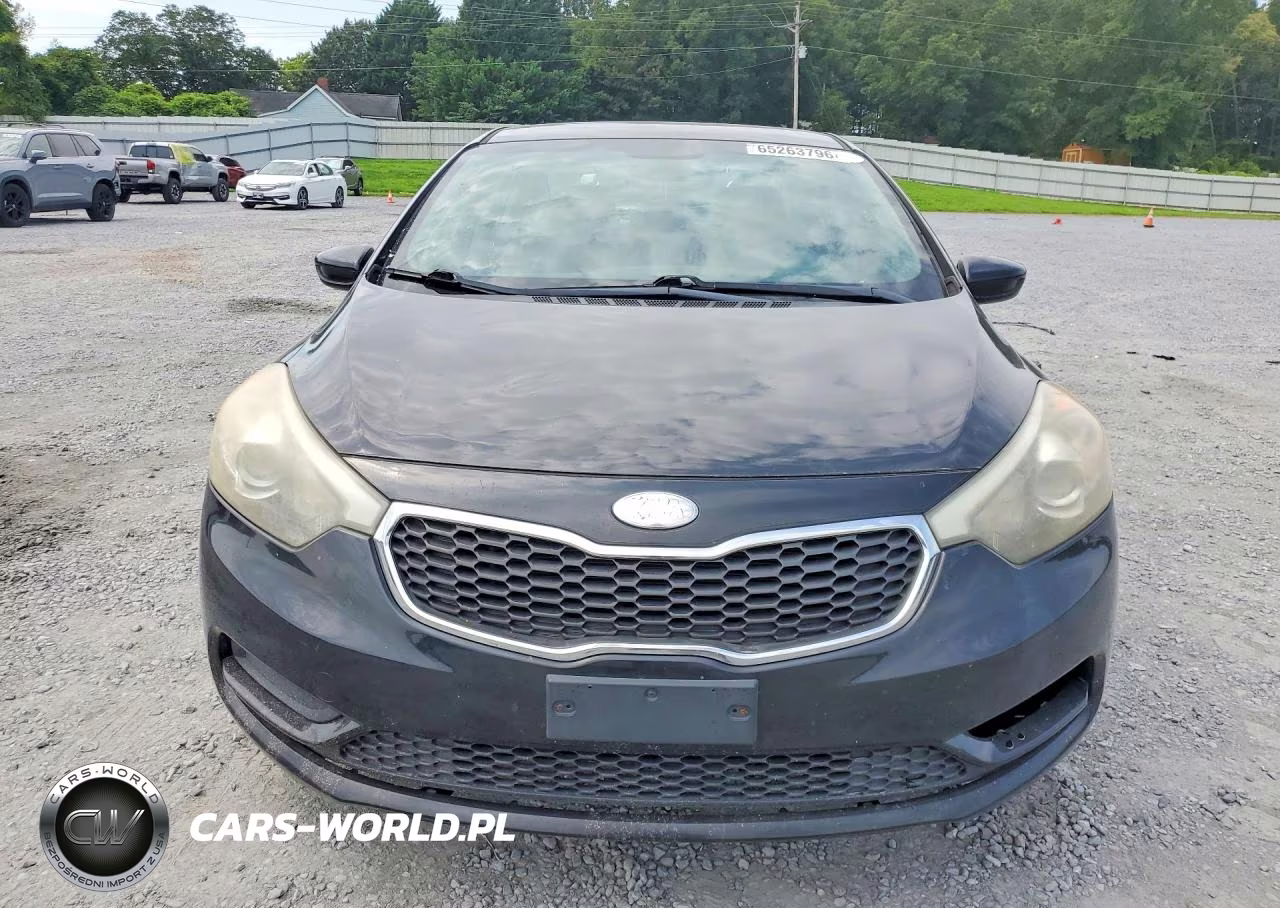 2014 Kia Forte Lx VIN:KNAFK4A68E5180401 - 5