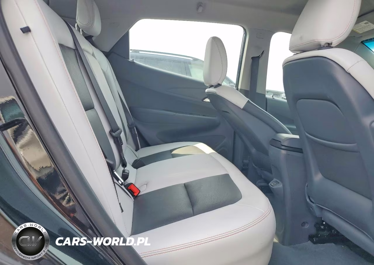2019 Chevrolet Bolt Ev Premier VIN:1G1FZ6S09K4102904 - 10