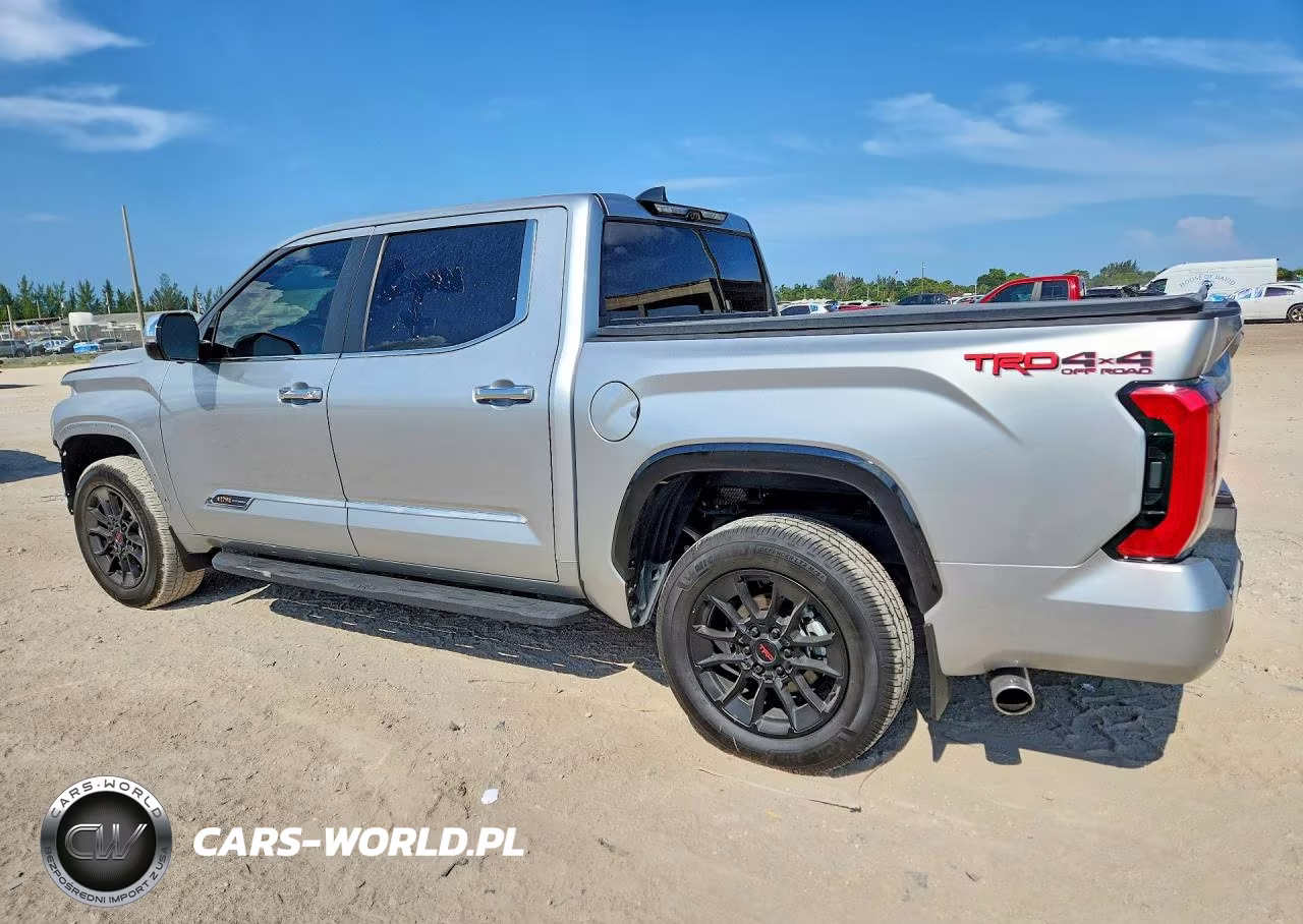 2025 Toyota Tundra 1794 Edition VIN:5TFMA5DBXSX317012 - 2