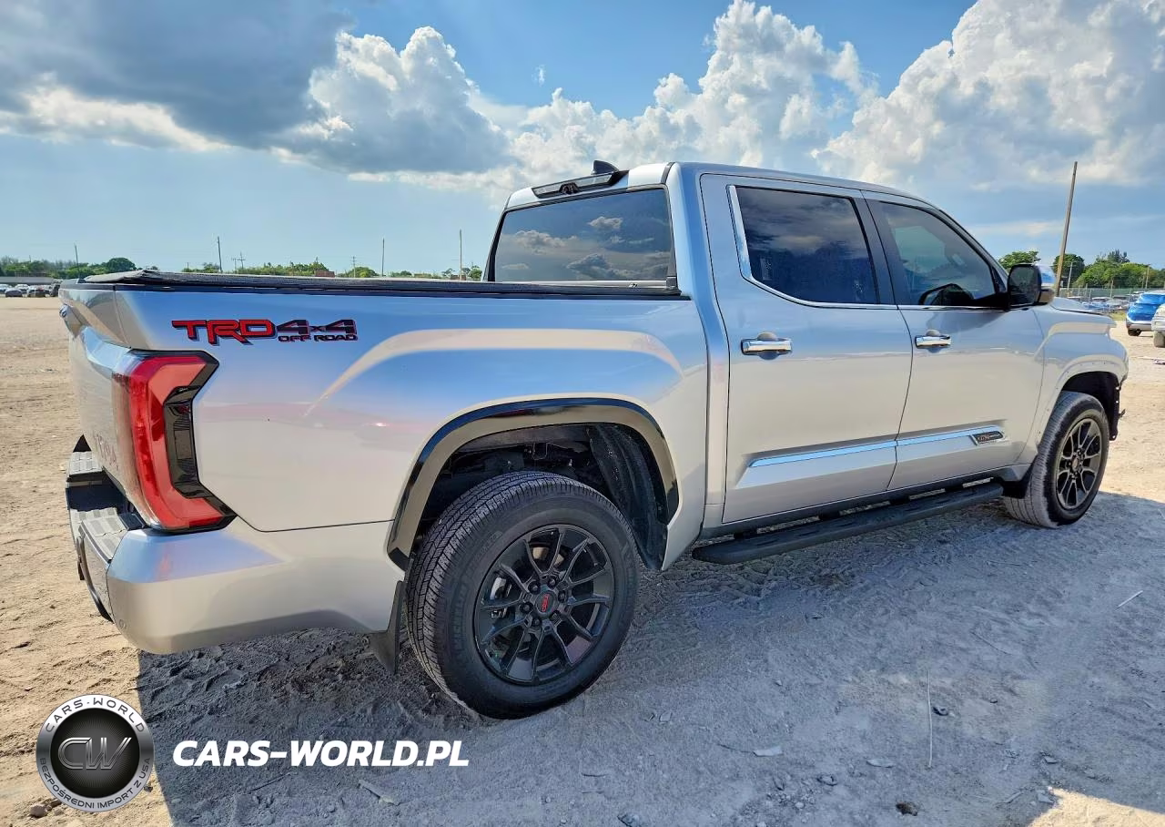 2025 Toyota Tundra 1794 Edition VIN:5TFMA5DBXSX317012 - 3