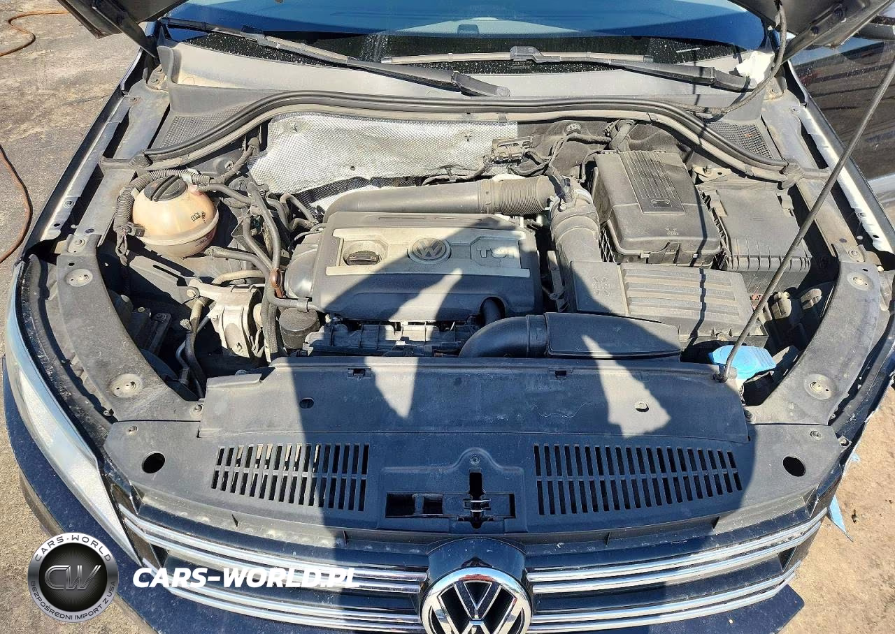 2013 Volkswagen Tiguan S VIN:WVGAV3AX8DW600900 - 12