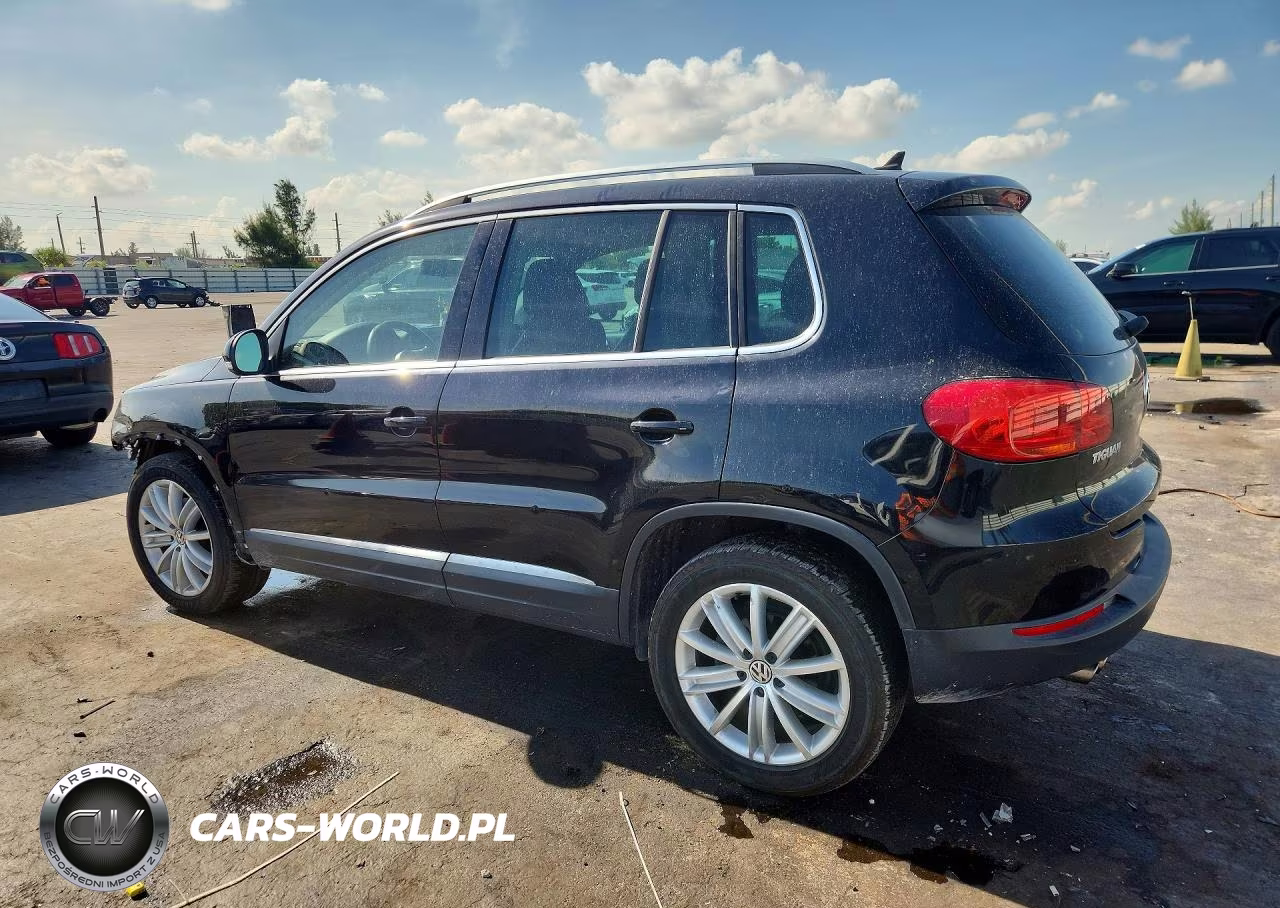 2013 Volkswagen Tiguan S VIN:WVGAV3AX8DW600900 - 2