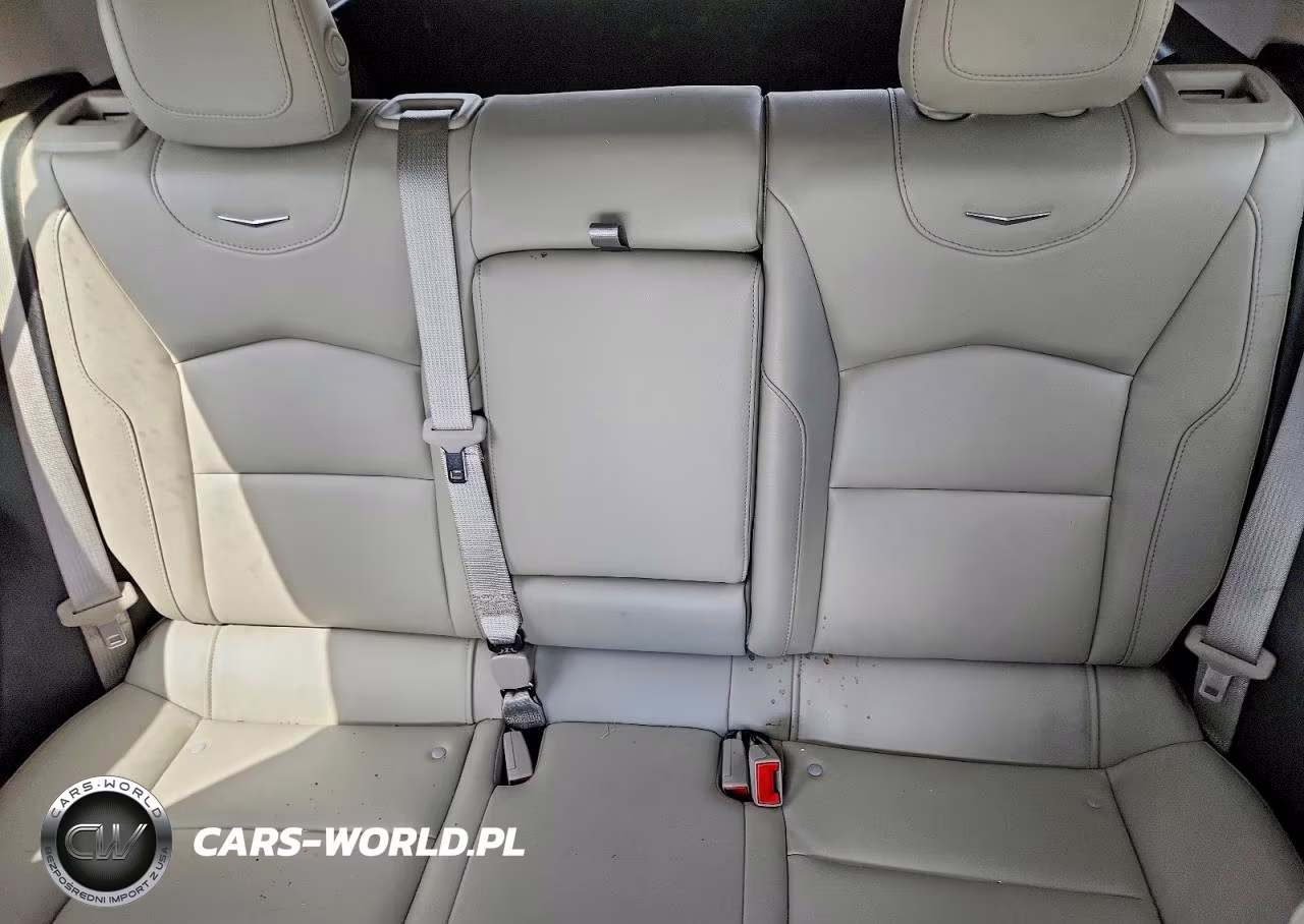 2023 Cadillac Xt4 Luxury VIN:1GYFZBR49PF150448 - 10