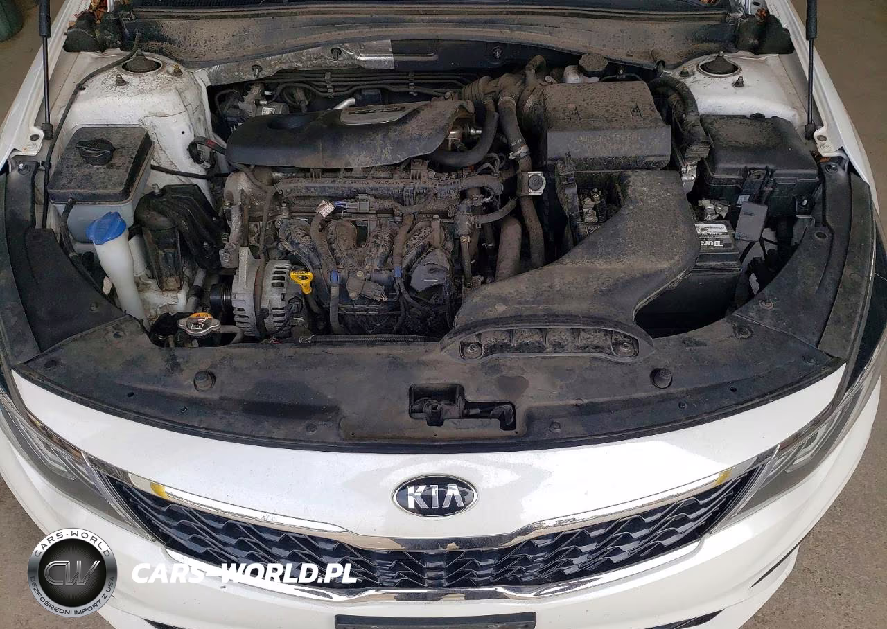 2020 Kia Optima Ex VIN:5XXGU4L10LG424215 - 11