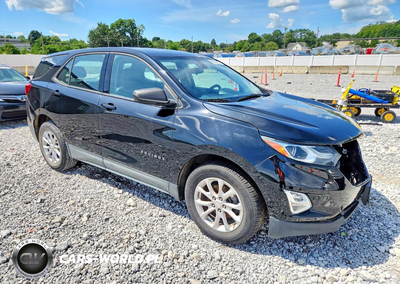 2019 Chevrolet Equinox Ls VIN:3GNAXHEV9KL345365 - 4