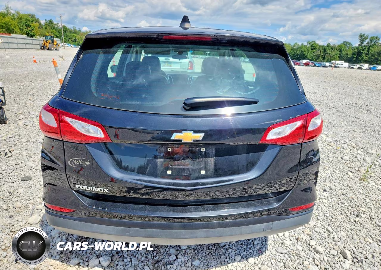 2019 Chevrolet Equinox Ls VIN:3GNAXHEV9KL345365 - 6