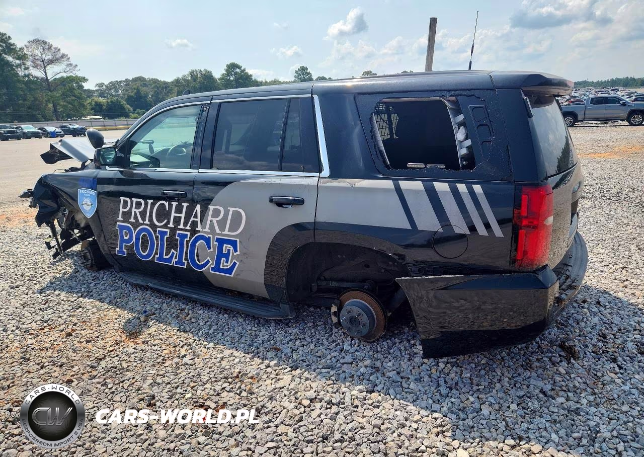 2020 Chevrolet Tahoe Police VIN:1GNLCDEC4LR234681 - 2