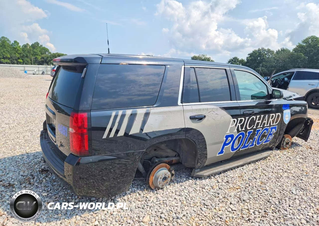 2020 Chevrolet Tahoe Police VIN:1GNLCDEC4LR234681 - 3