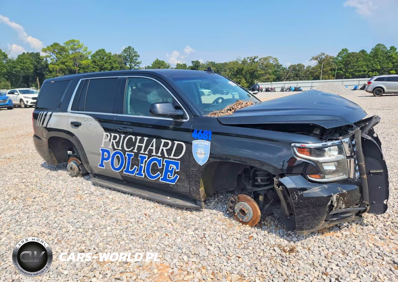 2020 Chevrolet Tahoe Police VIN:1GNLCDEC4LR234681 - 4