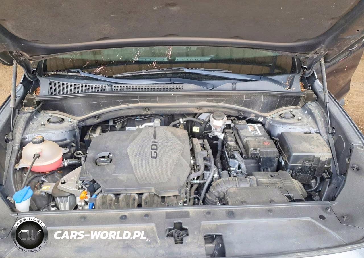 2021 Hyundai Santa Fe Se VIN:5NMS14AJXMH309419 - 12