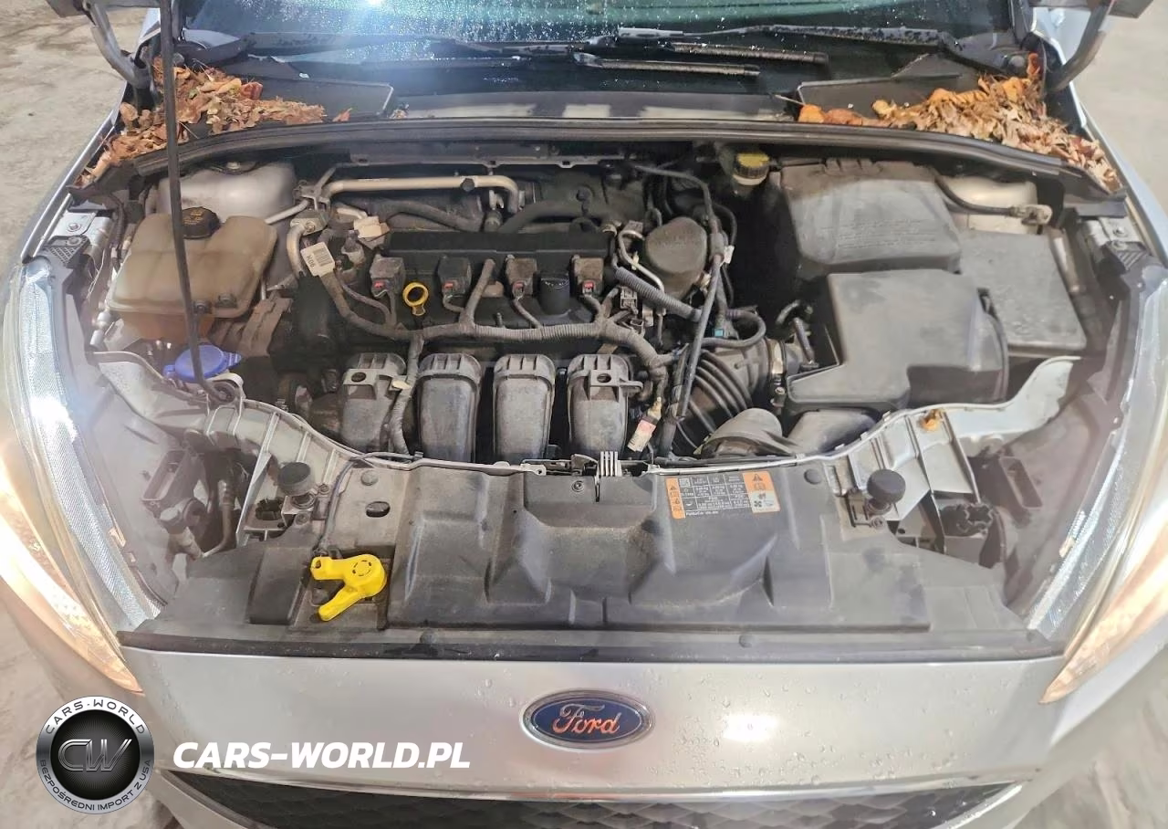 2015 Ford Focus Se VIN:1FADP3K2XFL202175 - 11