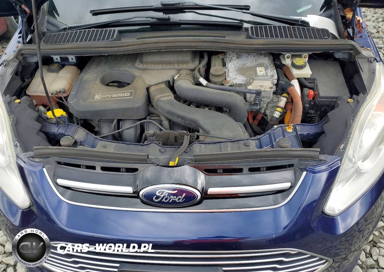 2016 Ford C-Max Sel VIN:1FADP5BU0GL113178 - 12