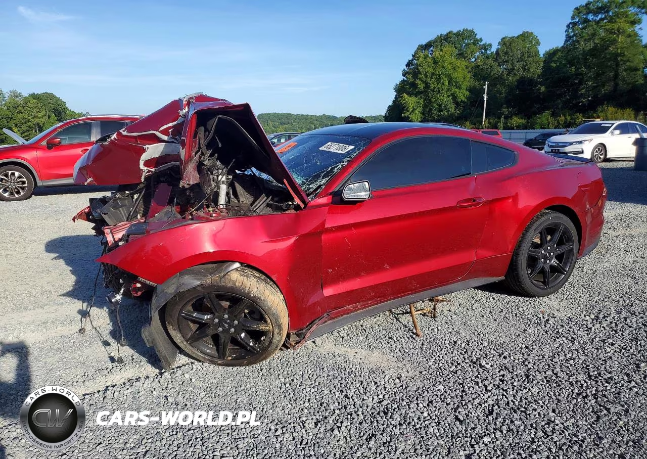 2019 Ford Mustang