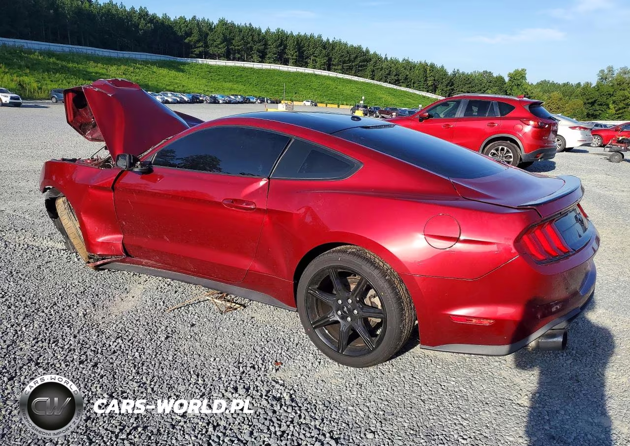 2019 Ford Mustang VIN:1FA6P8TH2K5117466 - 2