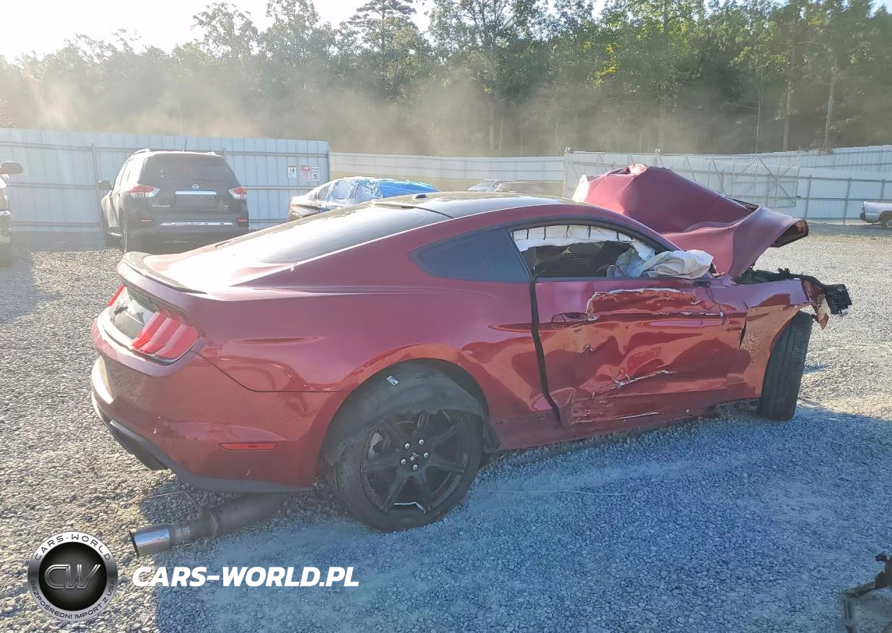 2019 Ford Mustang VIN:1FA6P8TH2K5117466 - 3