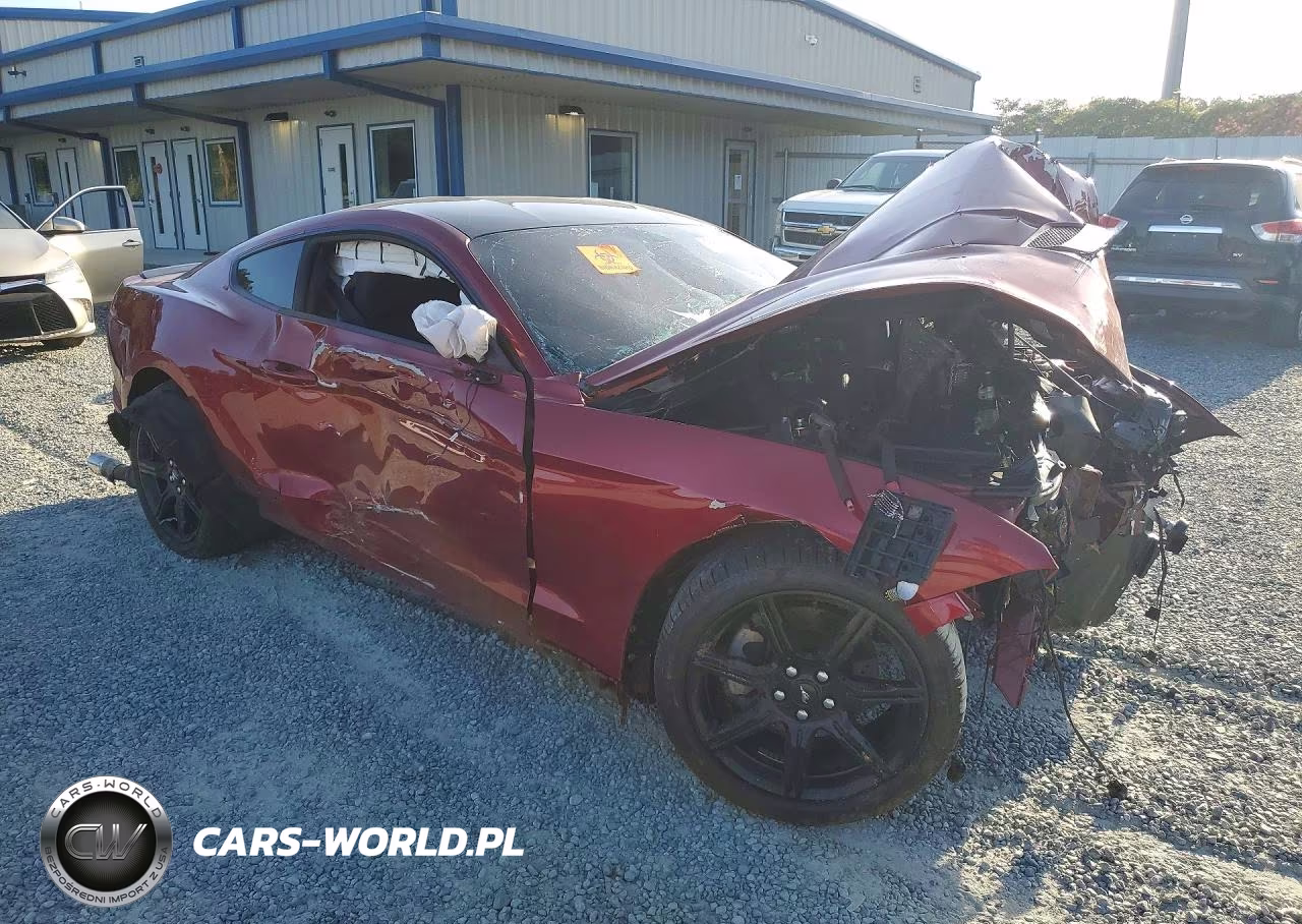 2019 Ford Mustang VIN:1FA6P8TH2K5117466 - 4