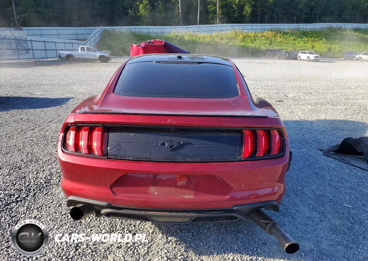 2019 Ford Mustang VIN:1FA6P8TH2K5117466 - 6