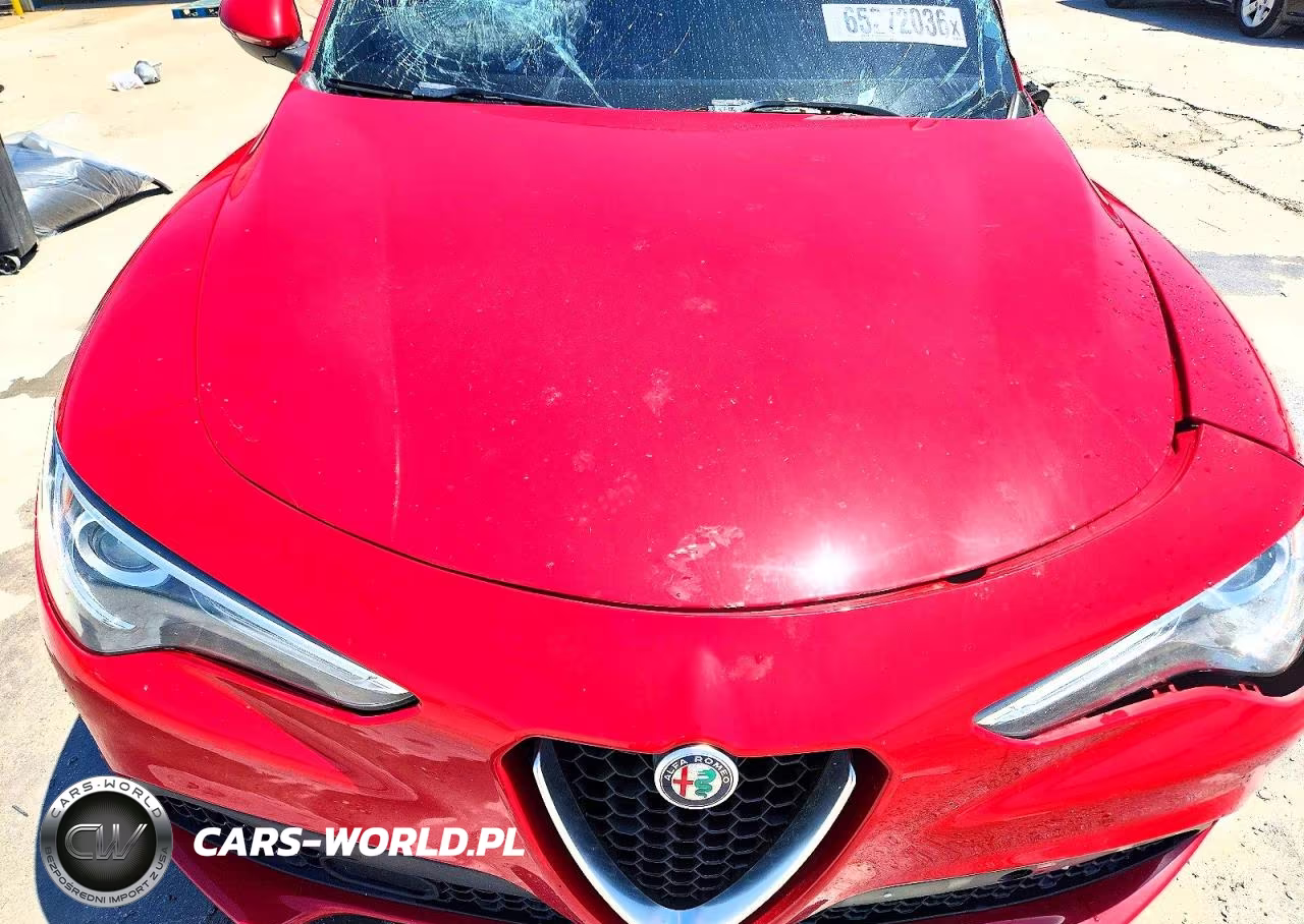 2021 Alfa Romeo Stelvio Sport VIN:ZASPAKAN0M7D14995 - 12