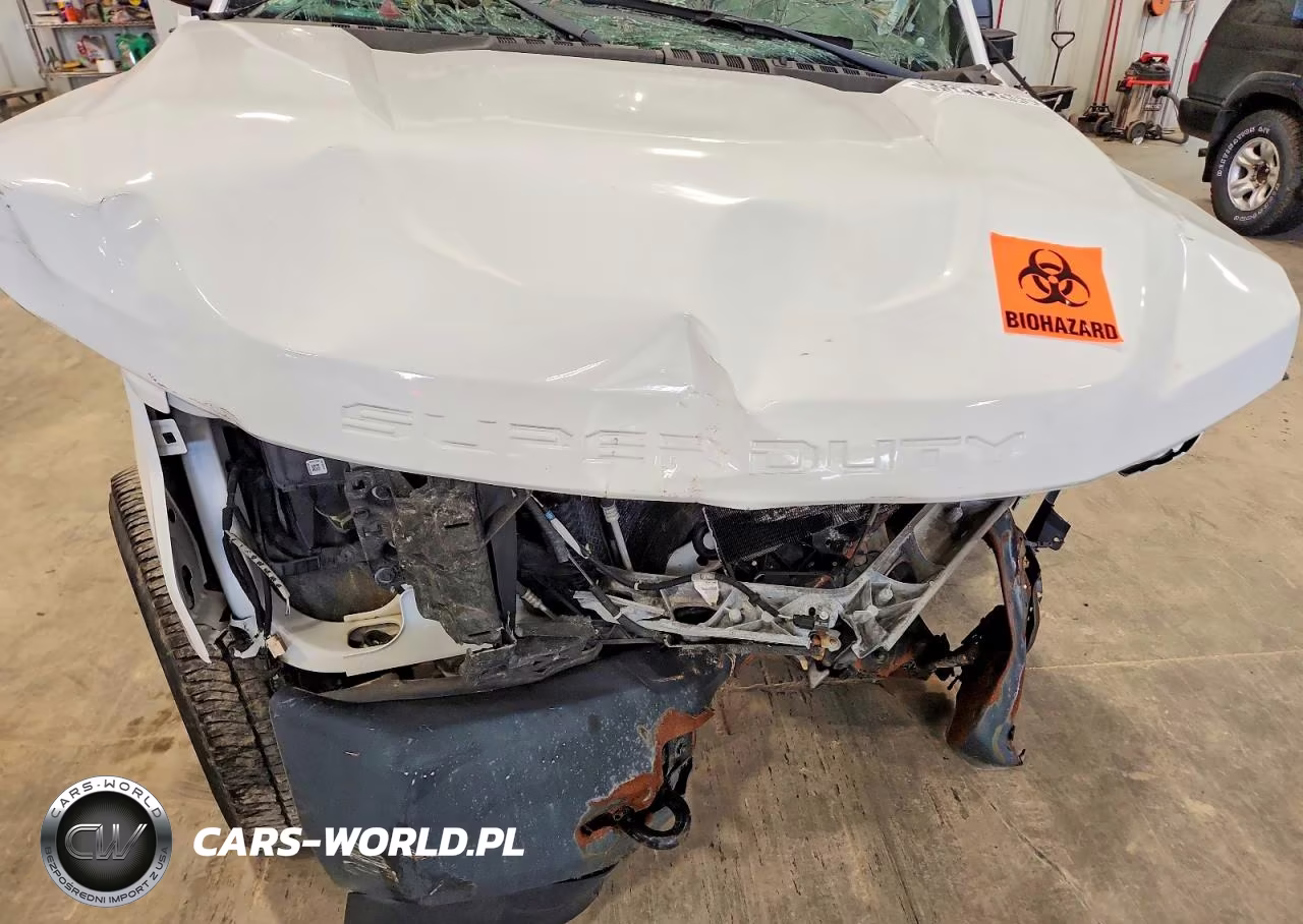 2017 Ford F250 Super Duty VIN:1FTBF2B62HED68683 - 11