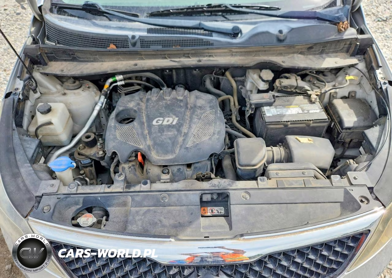 2014 Kia Sportage Lx VIN:KNDPBCAC0E7614371 - 12