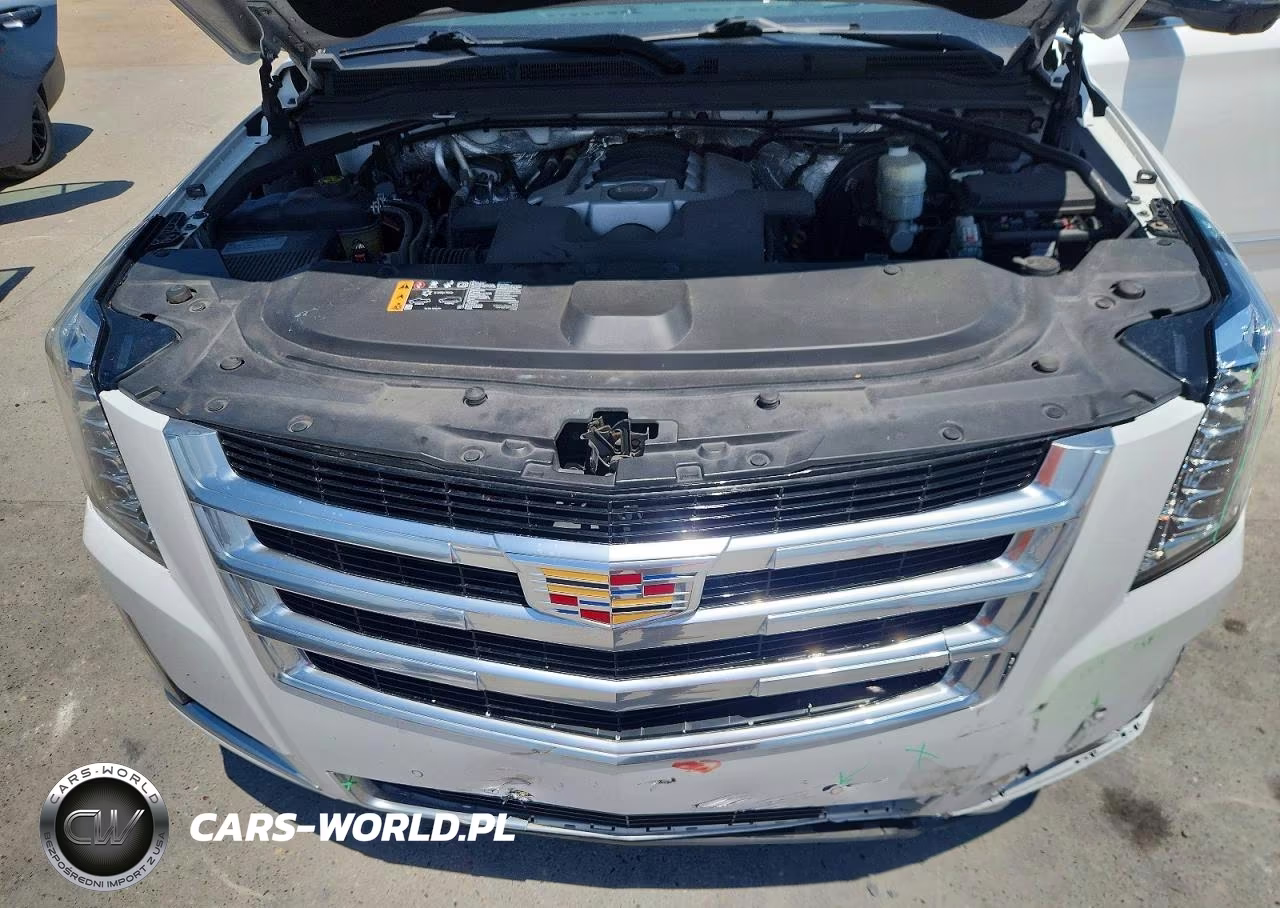 2017 Cadillac Escalade Luxury VIN:1GYS4BKJ8HR123450 - 12
