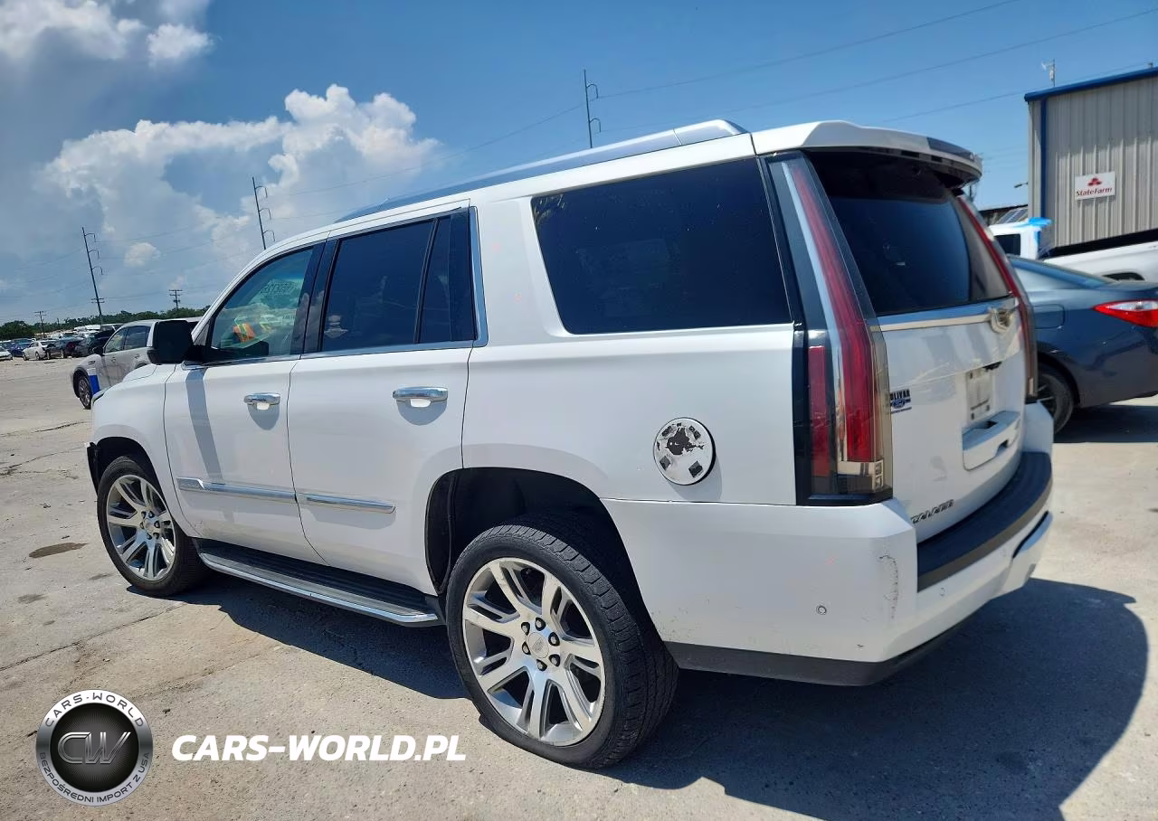 2017 Cadillac Escalade Luxury VIN:1GYS4BKJ8HR123450 - 2