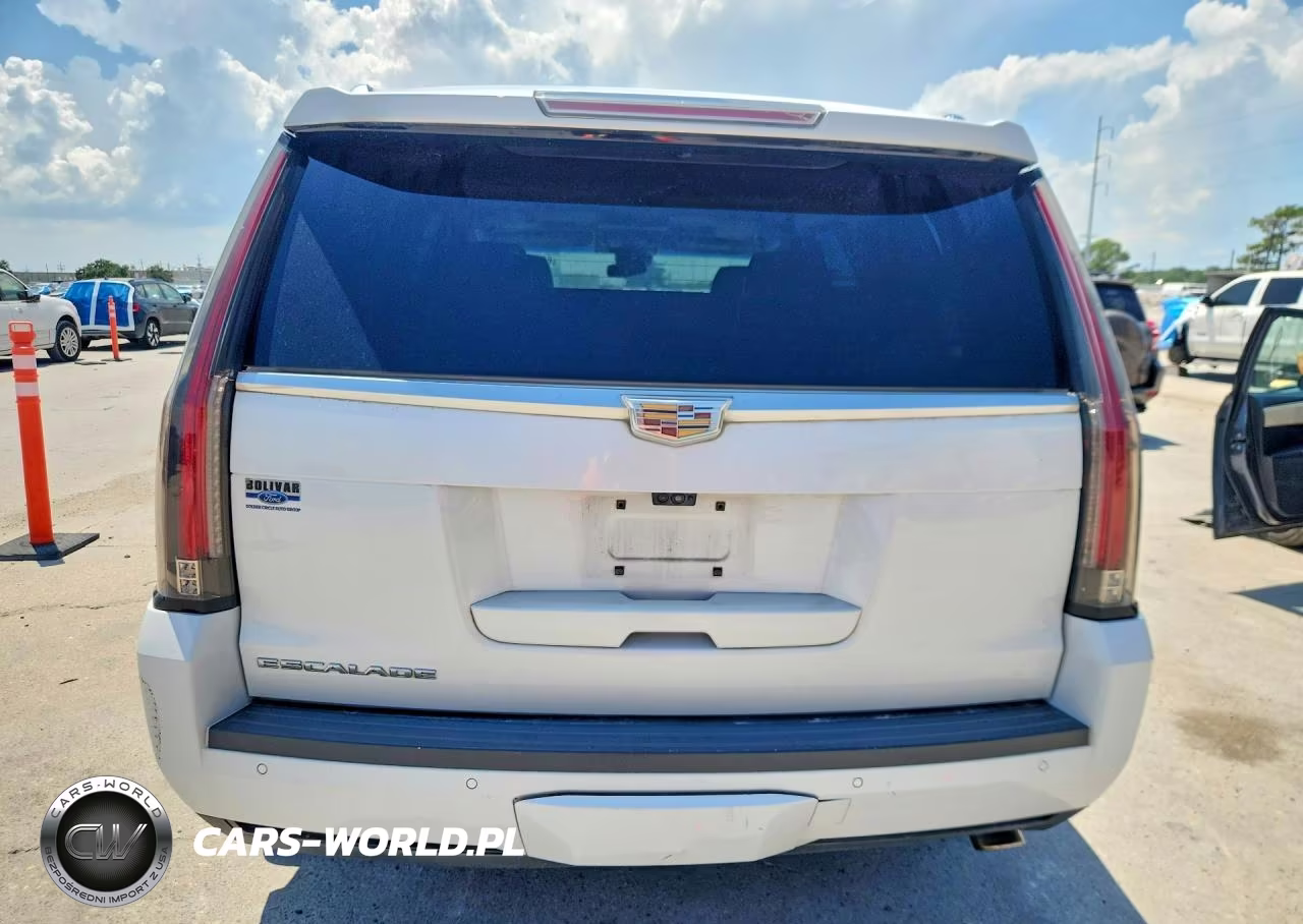2017 Cadillac Escalade Luxury VIN:1GYS4BKJ8HR123450 - 6