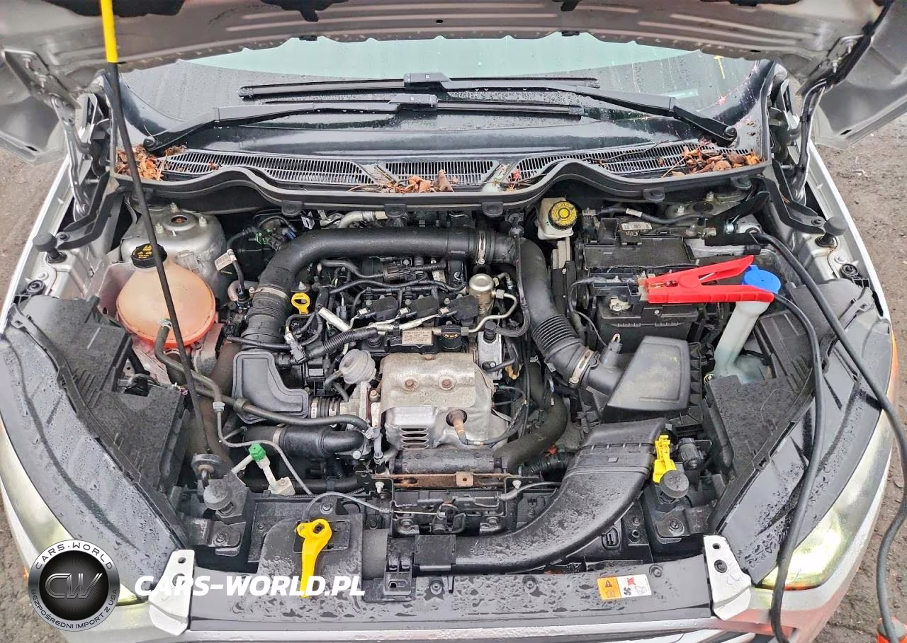 2019 Ford Ecosport Se VIN:MAJ3S2GE5KC267176 - 12