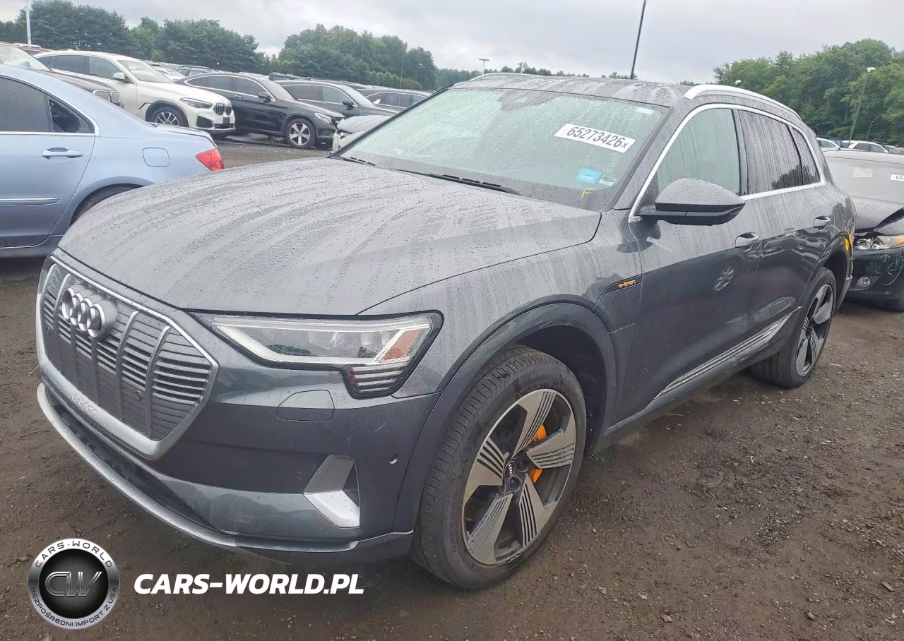 2019 Audi E-Tron Prestige – zdjęcie 1 z 13