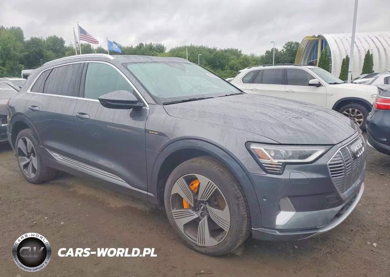 2019 Audi E-Tron Prestige VIN:WA1VAAGE3KB006760 - 4