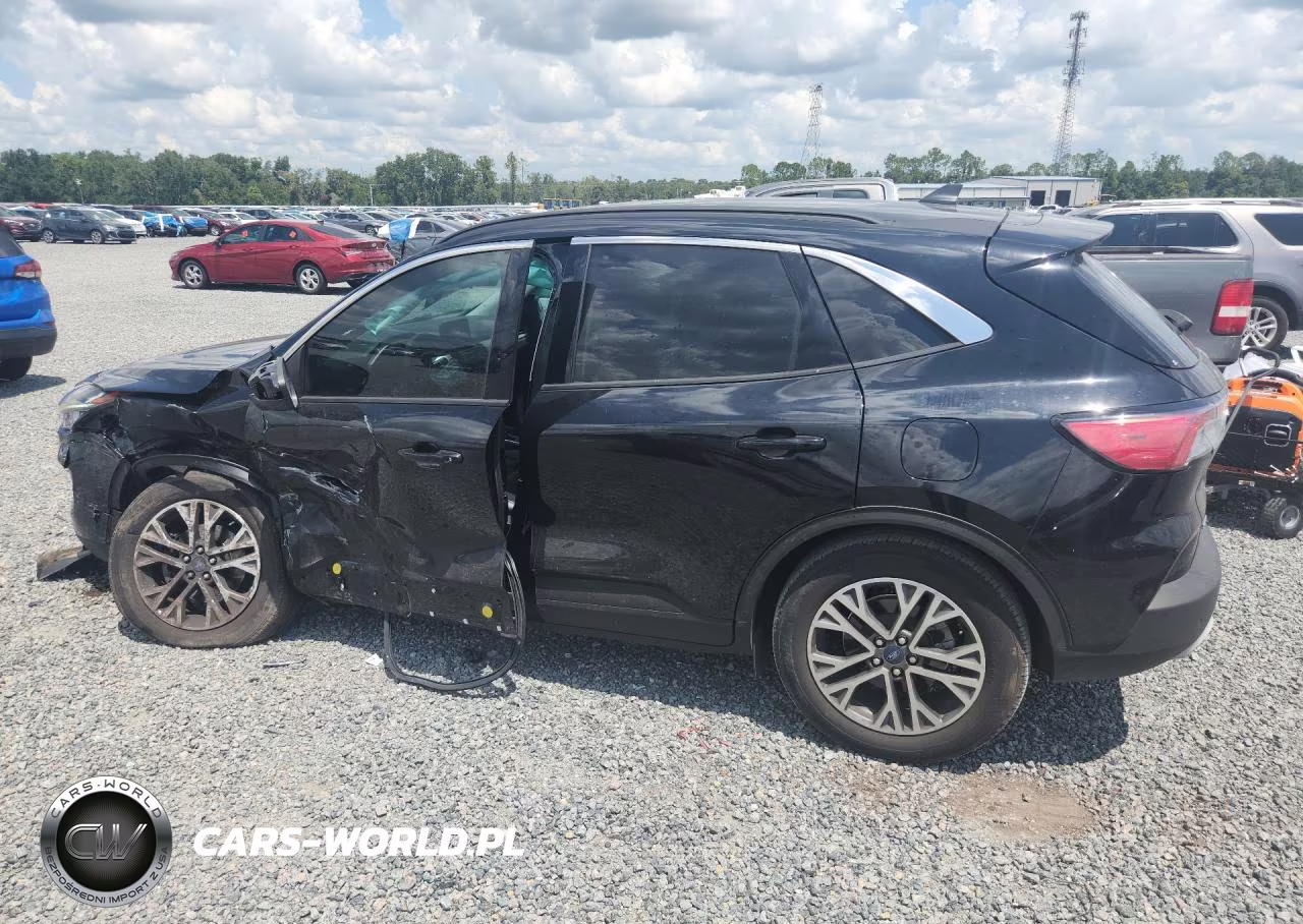 2022 Ford Escape Sel VIN:1FMCU0H62NUB14135 - 2