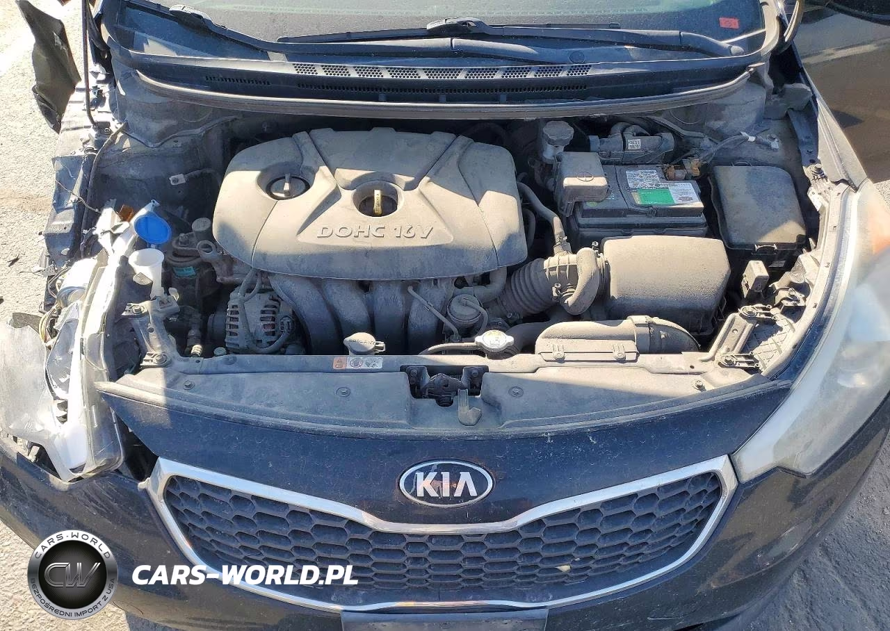 2014 Kia Forte Lx VIN:KNAFK4A65E5222944 - 11